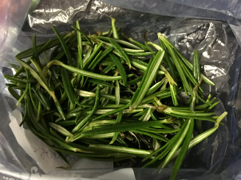 Freezing Fresh Herbs: Rosemary and Thyme – Kalyn's Kitchen