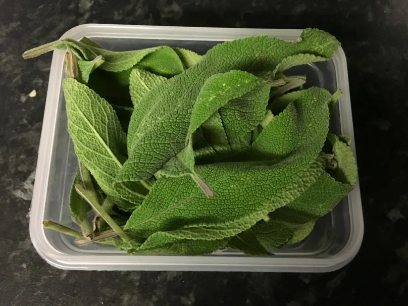 How to Store Fresh Herbs in the Fridge or Freezer