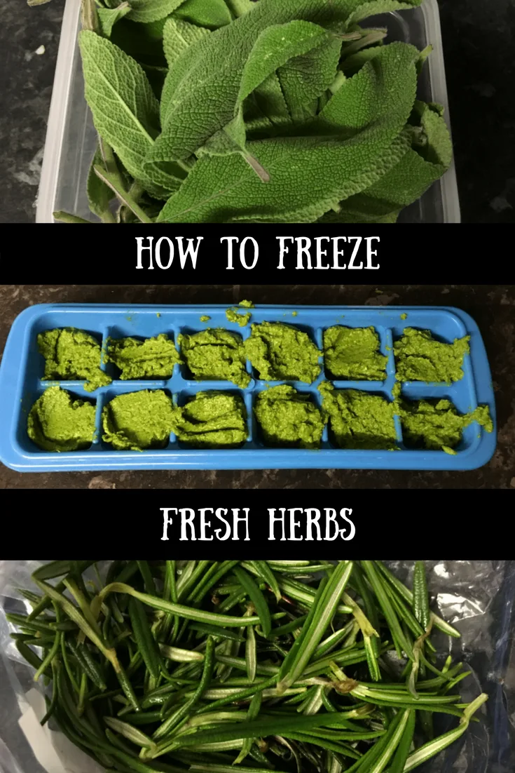 How To Freeze Fresh Herbs Such As Sage Rosemary Thyme