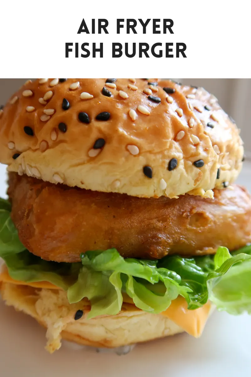 https://katykicker.com/wp-content/uploads/2022/07/Air-fryer-fish-burger-recipe.png.webp