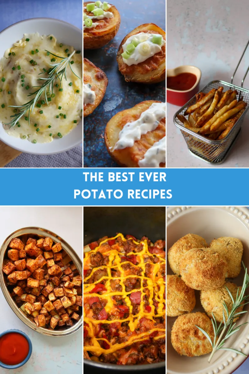 Mashed potato, potato skins, fries, diced potatoes, loaded fries and mashed potato balls. Text overlay says The best ever potato recipes.